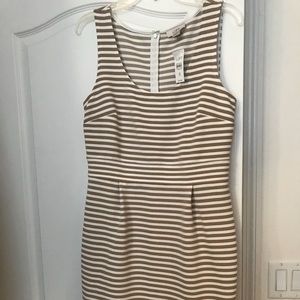 Loft stripped dress NWT